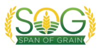Spain of Grain