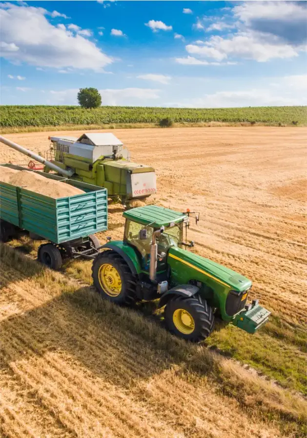 Spain of Grain